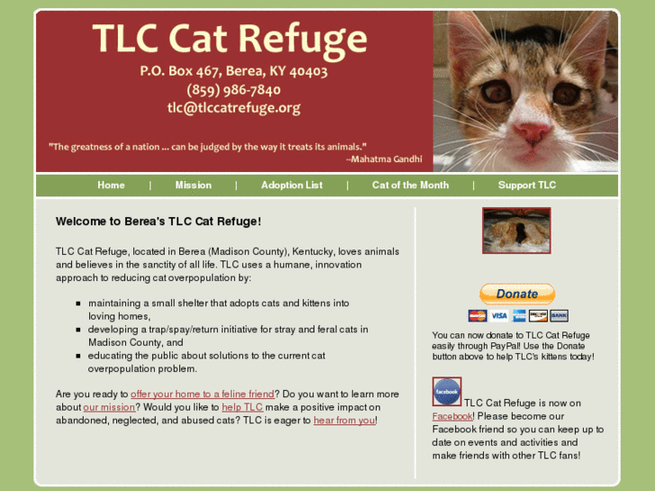 www.tlccatrefuge.org