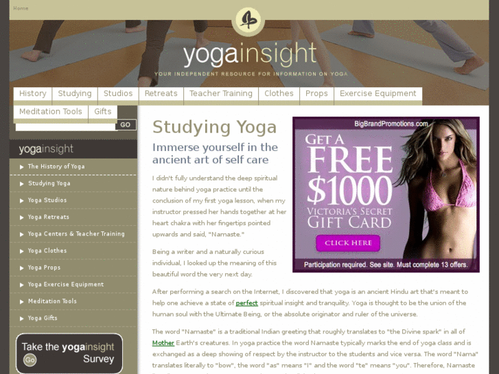 www.yoga-insight.com