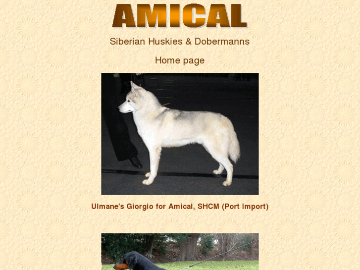 www.amicaldogs.com