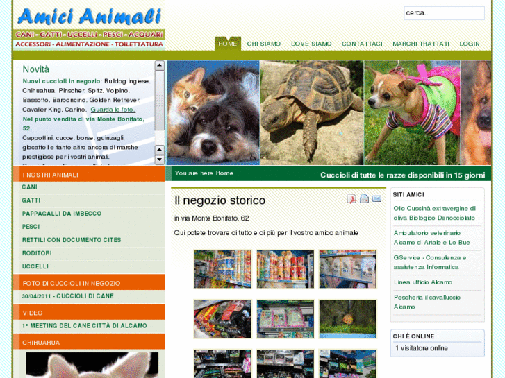 www.amicianimalialcamo.it