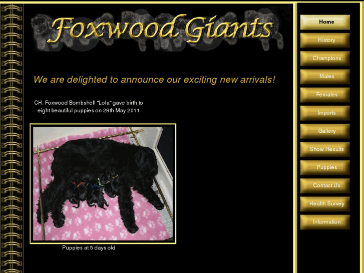 www.foxwoodgiants.com