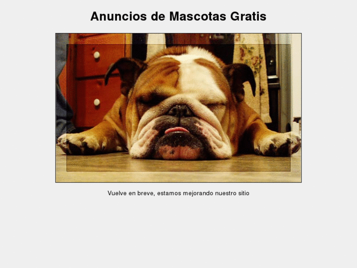 www.mascotasgratis.com