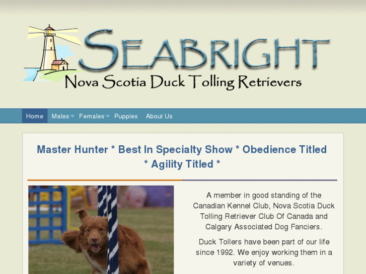 www.seabrighttollers.com