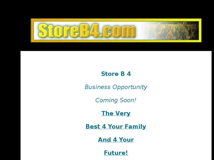 www.storeb4.com