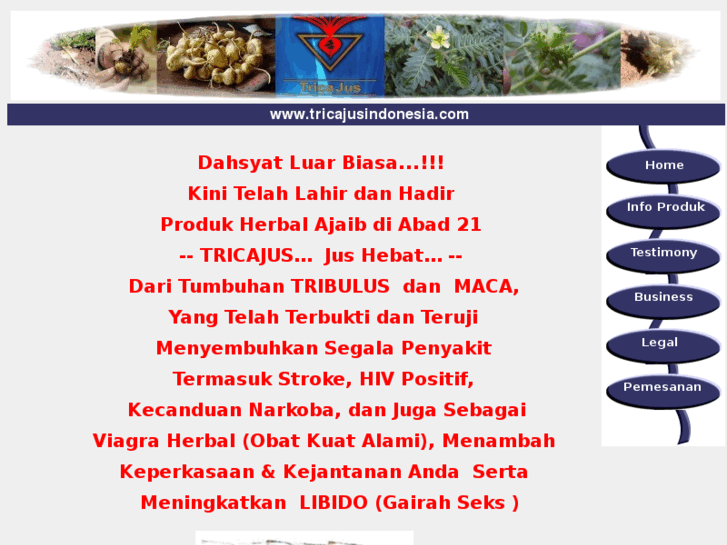 www.tricajusindonesia.com