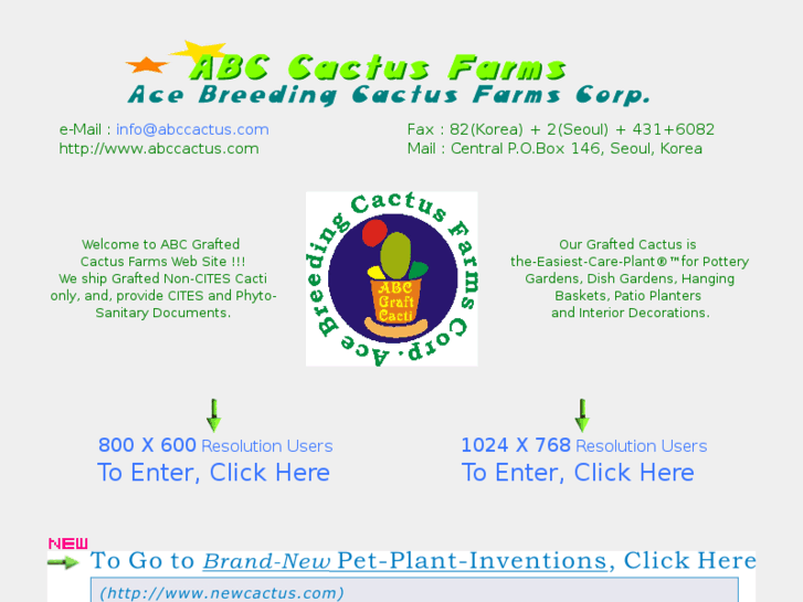 www.abccactus.com