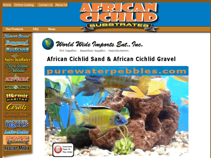 www.africancichlidsand.com