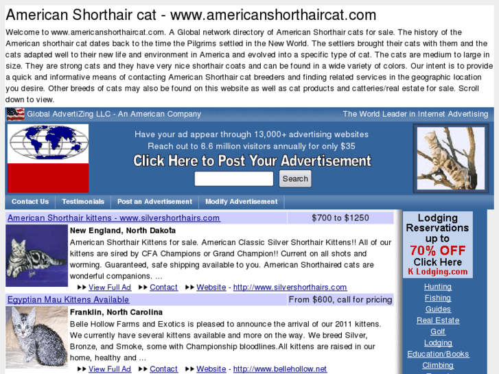 www.americanshorthaircat.com