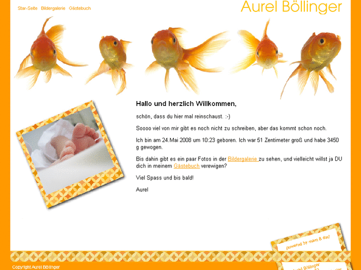 www.aurelboellinger.de