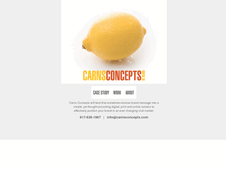 www.carnsconcepts.com