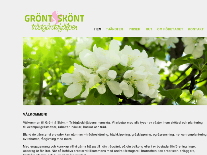 www.grontochskont.com