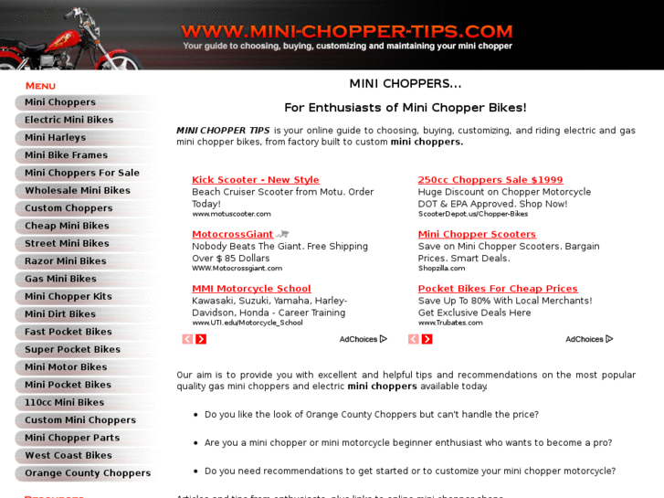 www.mini-chopper-tips.com