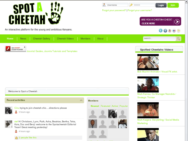 www.spotacheetah.com