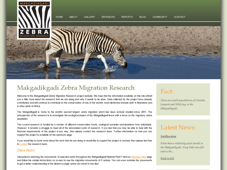 www.zebramigration.org