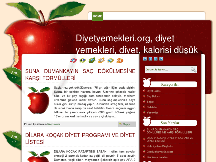 www.diyetyemekleri.org