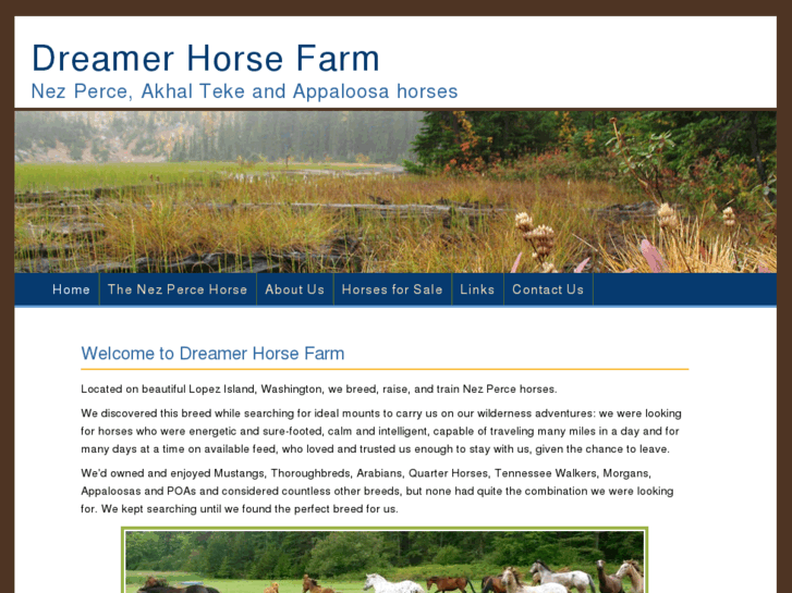 www.dreamerhorsefarm.com