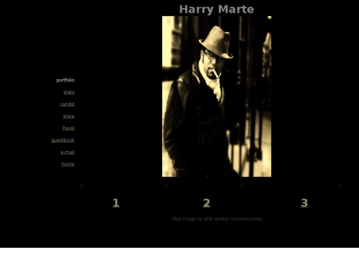 www.harrymarte.net