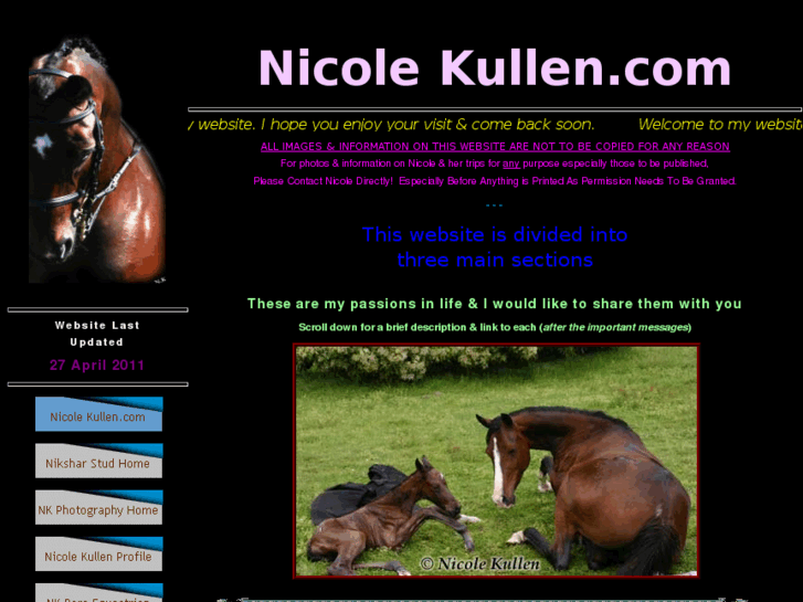 www.nicolekullen.com