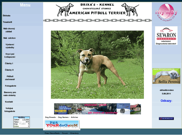 www.pitbullterrier.cz