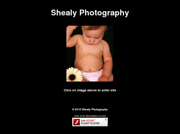 www.shealyphotography.com