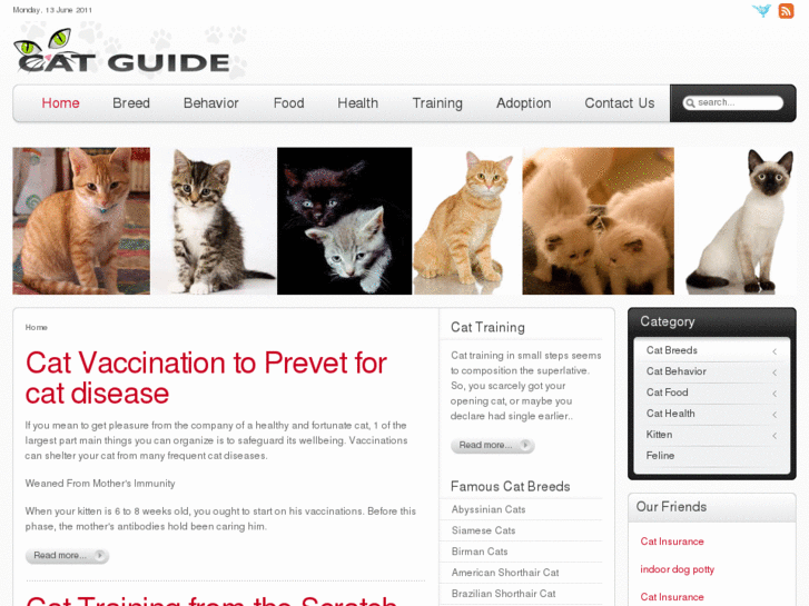 www.cat-guide.org