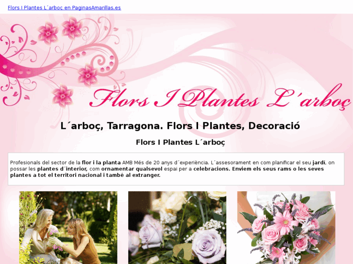 www.florsiplanteslarboc.com