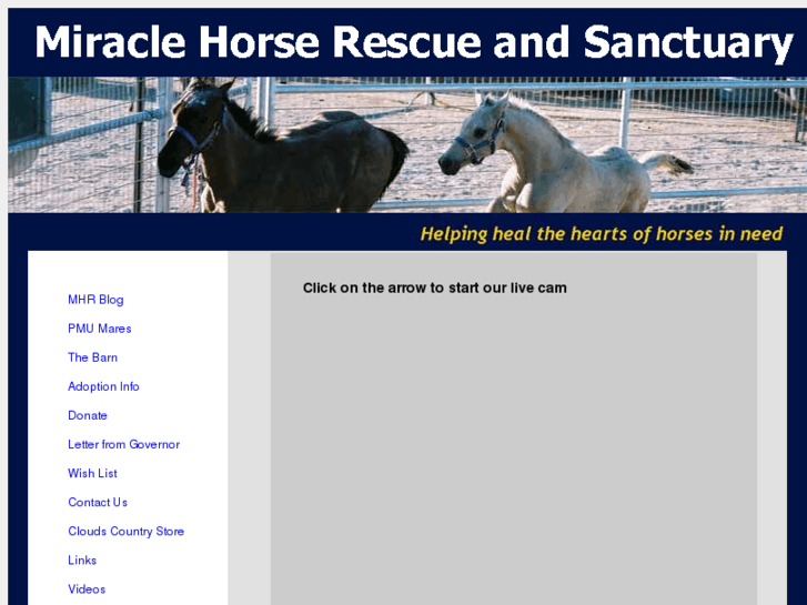 www.miraclehorse.com