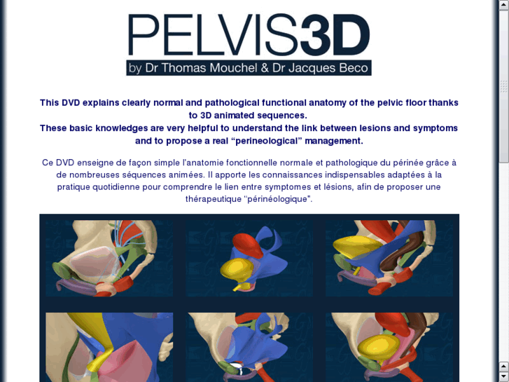 www.pelvis3d.com