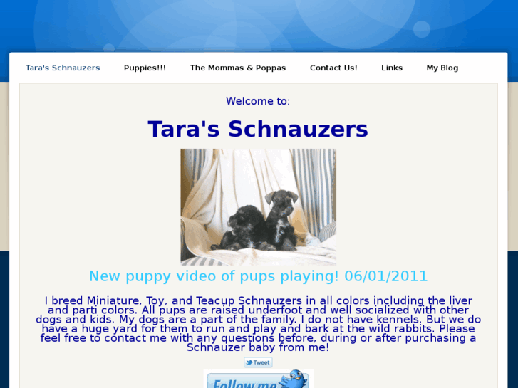 www.tarasschnauzers.com