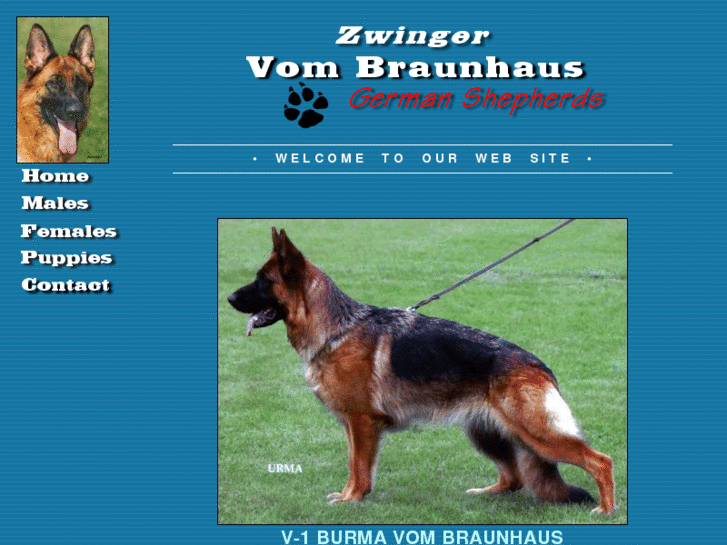 www.vombraunhaus.com