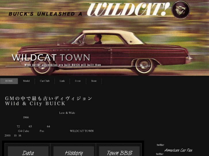 www.wildcat-town.com