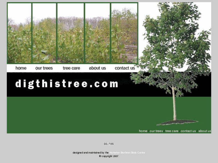 www.digthistree.com