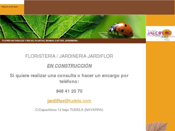 www.florestudela.com