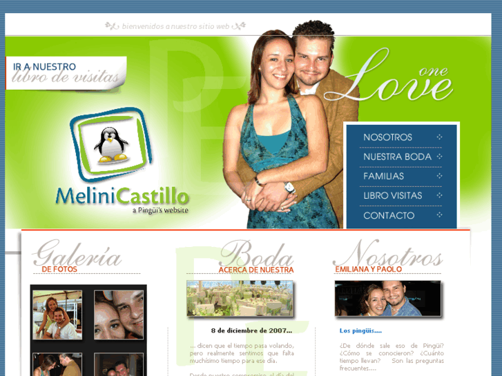 www.melinicastillo.com