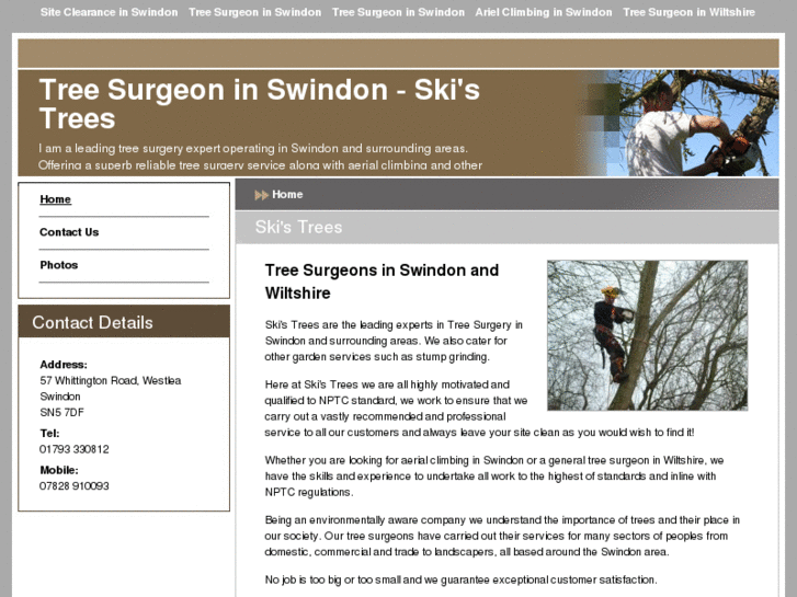 www.treesurgeonswindon.com