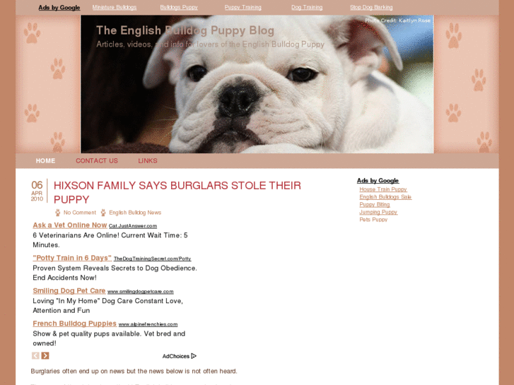 www.englishbulldogpuppyblog.com