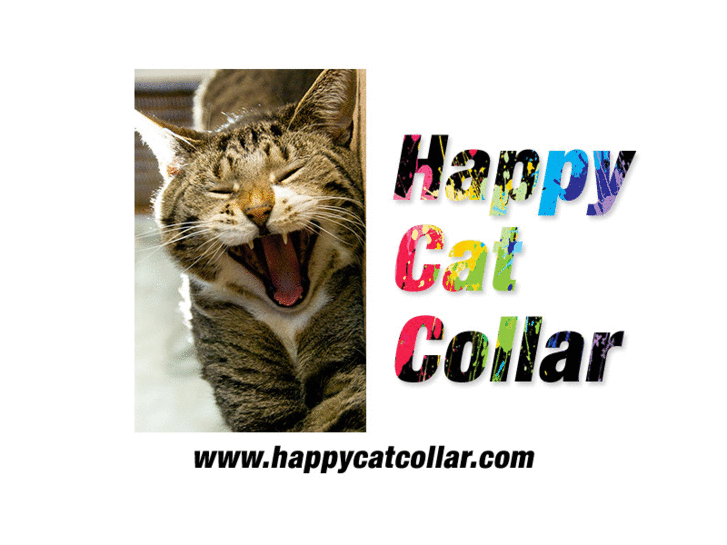 www.happycatcollar.com