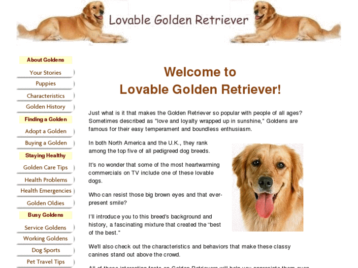 www.lovable-golden-retriever.com