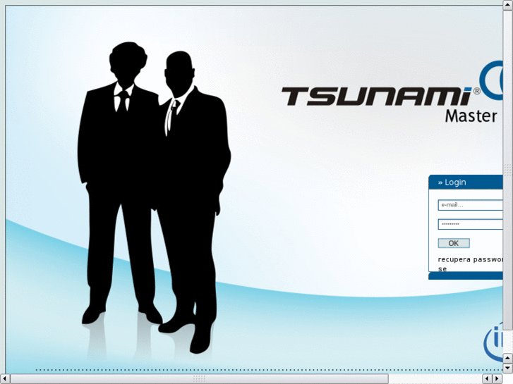 www.tsunamimaster.com
