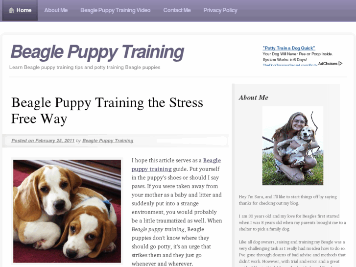 www.beaglepuppytraining.com