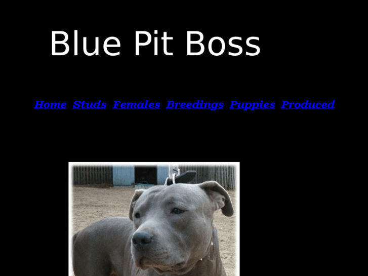 www.bluepitboss.com