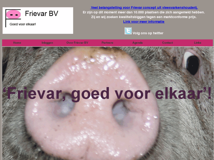 www.frievar.com