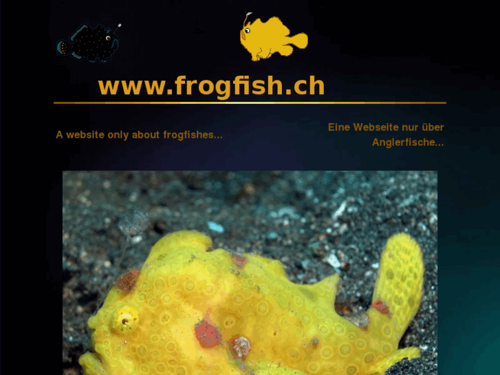 www.frogfish.ch