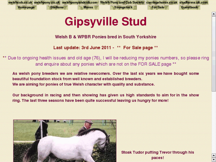 www.gipsyville.com