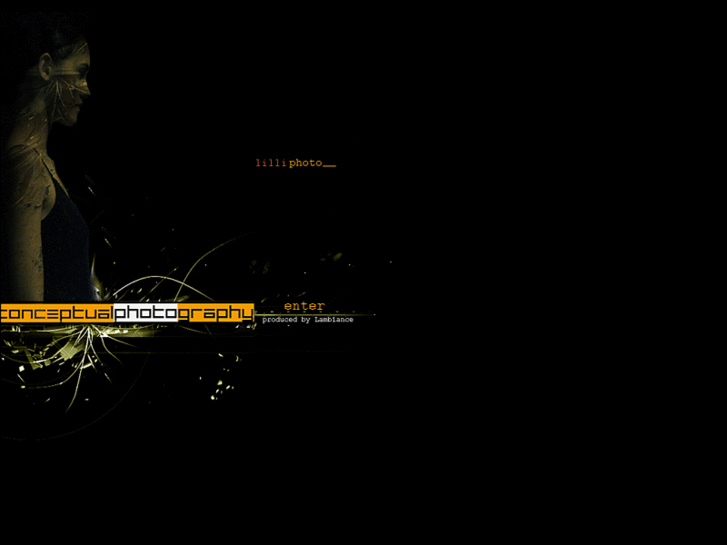 www.lilliphoto.com