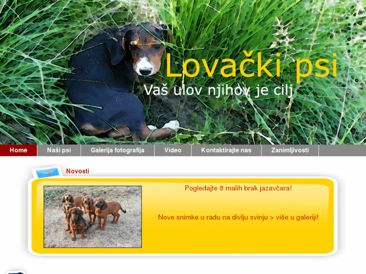 www.lovacki-psi.com