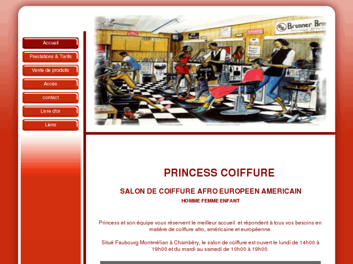 www.princesscoiffure.com