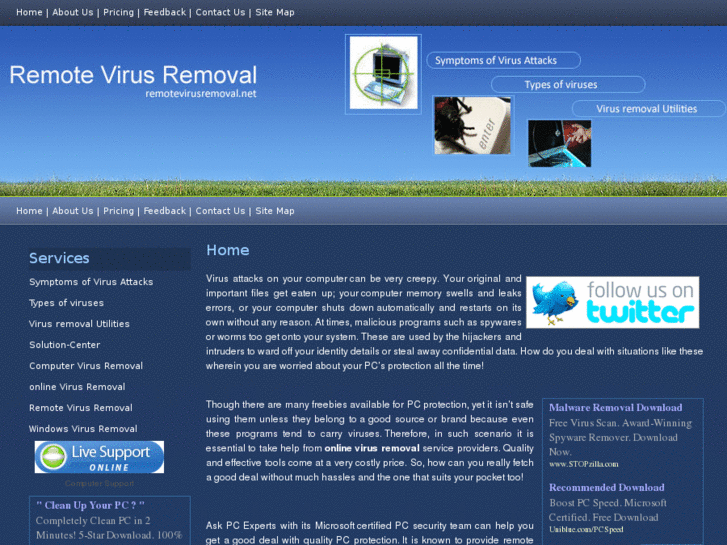 www.remotevirusremoval.net