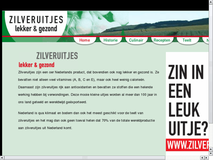 www.zilveruitjes.com