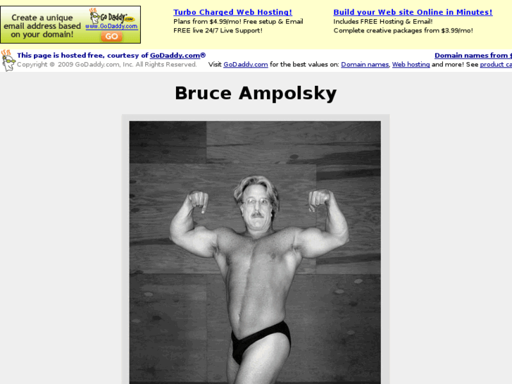 www.bruceampolsky.com